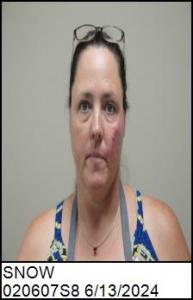 Dana Annette Snow a registered Sex Offender of North Carolina