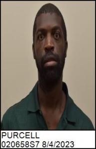 Damien Lavon Purcell a registered Sex Offender of North Carolina