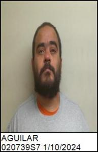 Pedro Lionel Hamon Aguilar a registered Sex Offender of North Carolina