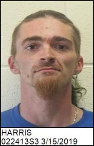 Travis Arthur Harris a registered Sex Offender of North Carolina