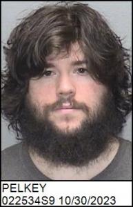 Damien Alexander Pelkey a registered Sex Offender of North Carolina