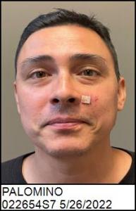 Steven Daniel Palomino a registered Sex Offender of South Carolina