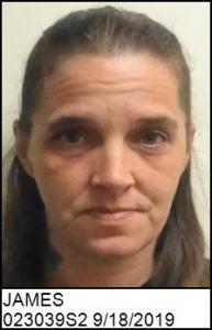 Amanda Carol James a registered Sex Offender of North Carolina