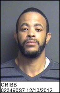 Quincy T Cribb a registered Sex Offender of South Carolina