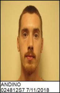 Ian Nicholas Andino a registered Sex Offender of New York