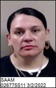 Bridgette Ann Saam a registered Sex Offender of North Carolina