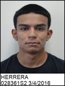 Adrian Herrera Gutierrez a registered Sex Offender of North Carolina