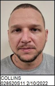 Raymond John Collins a registered Sexual Offender or Predator of Florida