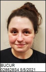 Holly Alina Bucur a registered Sex Offender of North Carolina