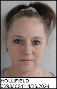 Dawn Louise Hollifield a registered Sex Offender of North Carolina