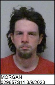 Brian Edward Morgan a registered Sexual Offender or Predator of Florida