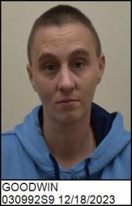 Heather Mae Goodwin a registered Sex Offender of North Carolina