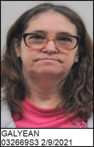 Tammy R Galyean a registered Sex Offender of North Carolina
