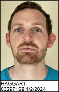 Dillon James Haggart a registered Sex Offender of North Carolina