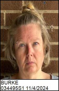 Danay R Burke a registered Sex Offender of North Carolina