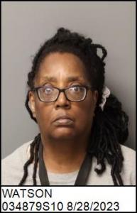 Diane Watson a registered Sex Offender of North Carolina