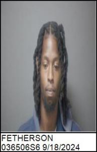 Demetrius L Fetherson a registered Sex Offender of North Carolina