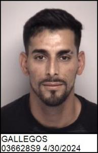 Alejandro Gallegos a registered Sex Offender of North Carolina