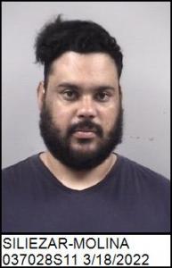 Delmer Efren Siliezar-molina a registered Sex Offender of Maryland