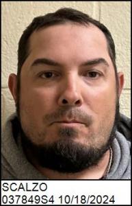 Richard Alan Jr Scalzo a registered Sex Offender of North Carolina