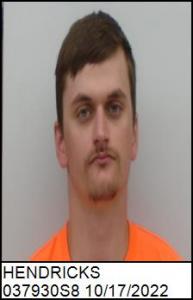 Austin Tyler Hendricks a registered Sex Offender of South Carolina