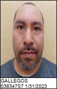 Jose Ignacio Gallegos a registered Sex Offender of North Carolina