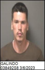 Adam Gregory Galindo a registered Sex Offender of North Carolina