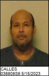 Jose Alirio Calles a registered  of 