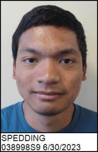 Ching Michael Spedding a registered Sex Offender of North Carolina