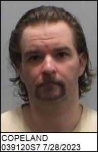 Shannon Michael Copeland a registered Sex Offender of North Carolina