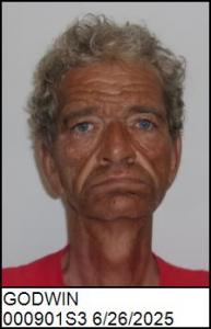 Johanna Godwin a registered Sex Offender of North Carolina