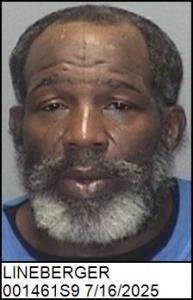 Rodney Lavon Lineberger a registered Sex Offender of North Carolina