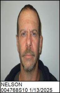 Brian Scott Nelson a registered Sex Offender of North Carolina