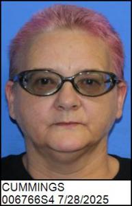 Debbie Ann Cummings a registered Sex Offender of North Carolina