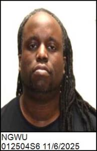 Chinedu David Ngwu a registered Sex Offender of North Carolina