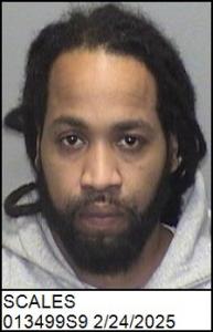 Robert Louis Iv Scales a registered Sex Offender of North Carolina