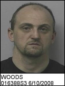 Edgar Lee Jr Woods a registered Sex Offender of Virginia