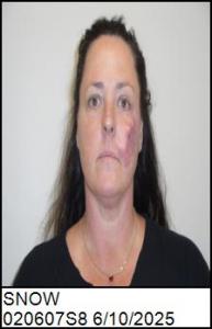 Dana Annette Snow a registered Sex Offender of North Carolina