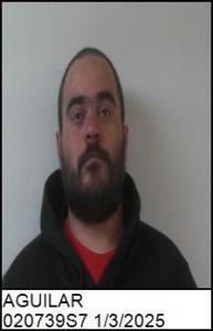 Pedro Lionel Hamon Aguilar a registered Sex Offender of North Carolina