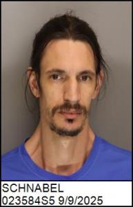 Brian Alan Schnabel a registered Sex Offender of North Carolina