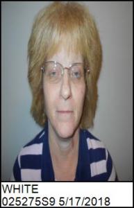 Mary Ann White a registered Sexual Offender or Predator of Florida