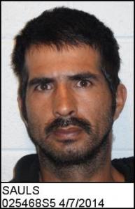 Tony Sauls a registered Sex Offender of Michigan