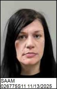 Bridgette Ann Saam a registered Sex Offender of North Carolina