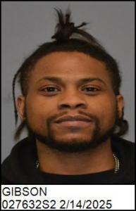 Shaquin Anthony Gibson a registered Sex Offender of North Carolina