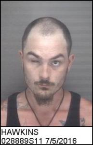 Beau Ryder Hawkins a registered Sex Offender of Virginia