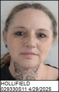 Dawn Louise Hollifield a registered Sex Offender of North Carolina