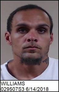 Steven Richard Williams a registered Sex Offender of Virginia