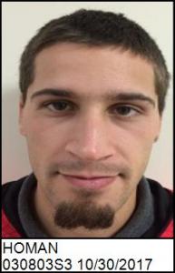 Brandon Wayne Homan a registered Sex Offender of South Carolina