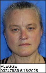 Cassandra Jean Plegge a registered Sex Offender of North Carolina