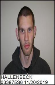 Tyler Allen Hallenbeck a registered Sex Offender of New York